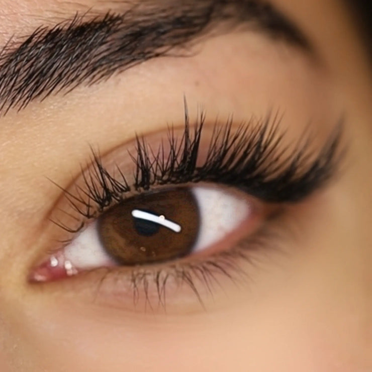 Black Flat *Double Tips* Heavenly lashes