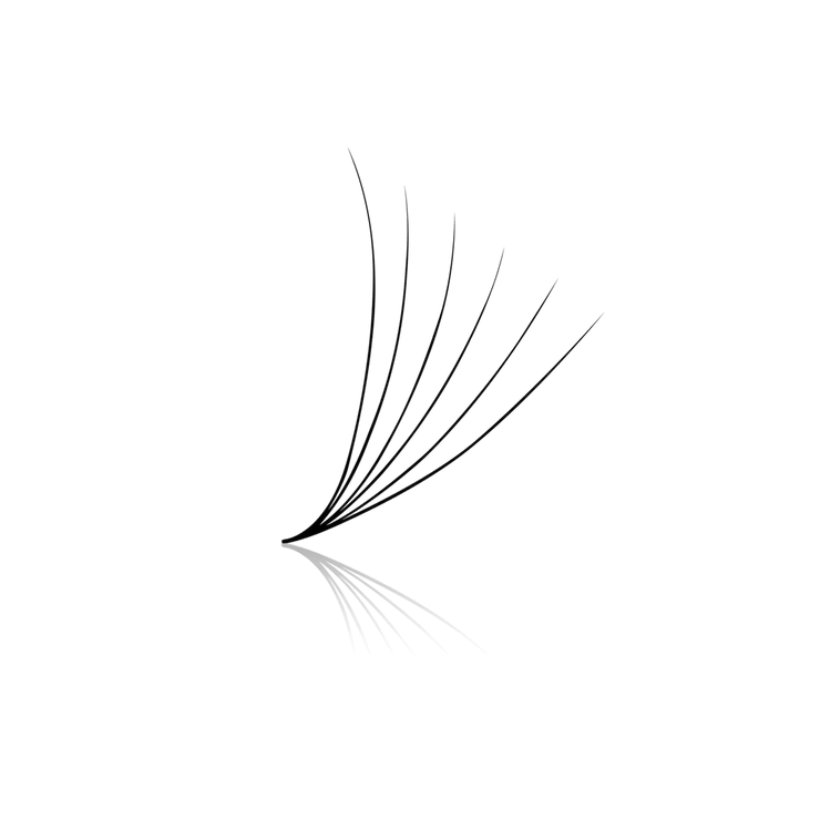 6D ProMade Loose Fans - 0.07 Heavenly lashes