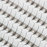 Wispy 7D ProMade Fans - 0.05 - XL Tray Heavenly lashes
