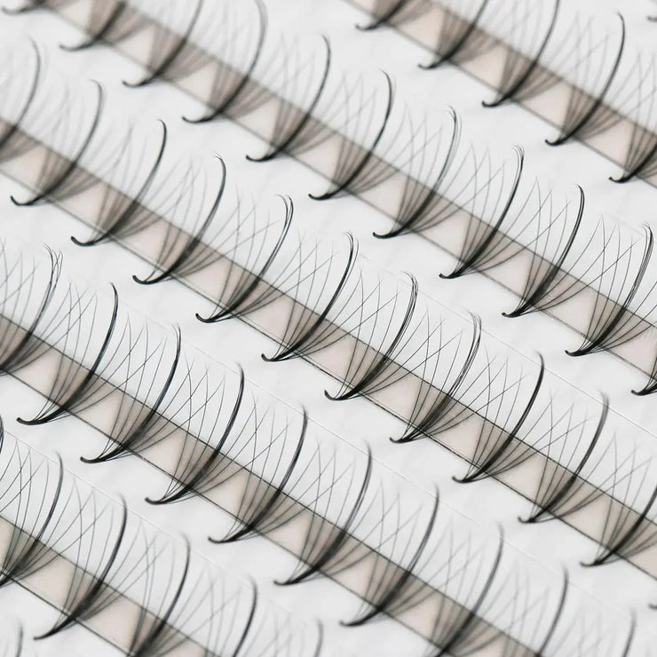 Wispy 7D ProMade Fans - 0.05 - XL Tray Heavenly lashes