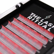 OMBRE' LASHES The Lash Ritual