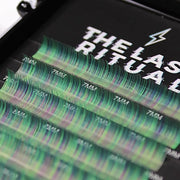 OMBRE' LASHES The Lash Ritual