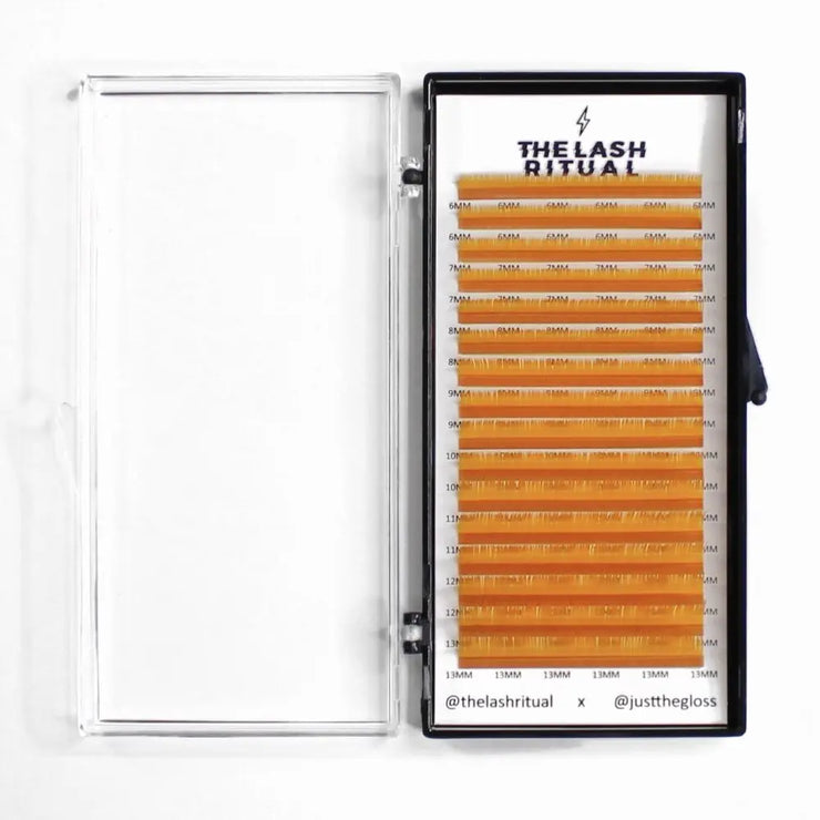Vivid Colors The Lash Ritual