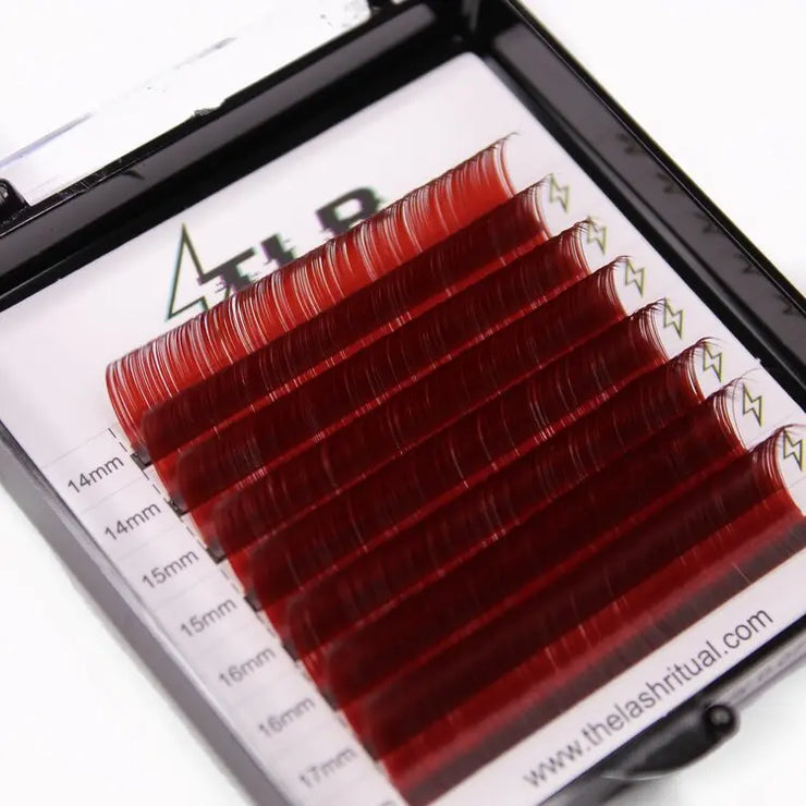 Vivid Colors The Lash Ritual