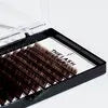Vivid Colors The Lash Ritual