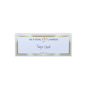 Vessel Magnetic Tweezer Case Heavenly lashes
