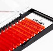 Vivid Colors The Lash Ritual