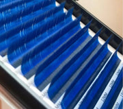 Vivid Colors The Lash Ritual