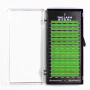 Neon Lashes The Lash Ritual